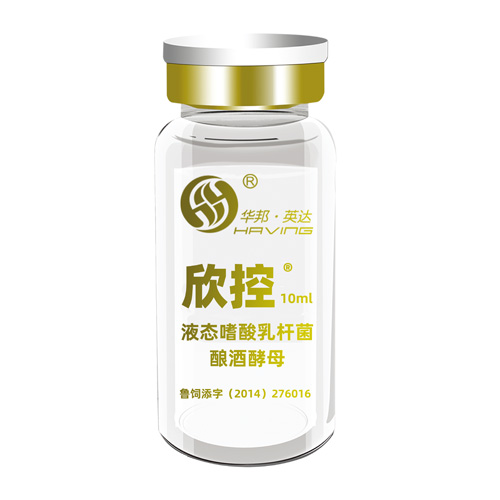 欣控?（金）
